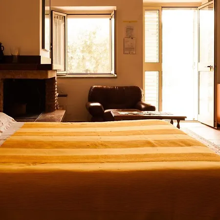 Testa B&B